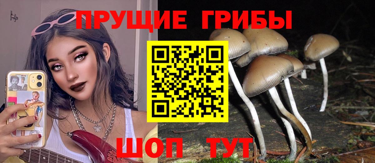 Псилоцибиновые грибы GOLDEN TEACHER  Галлюциногенные грибы прущие грибы  Вход с VPN  Краснотурьинск 